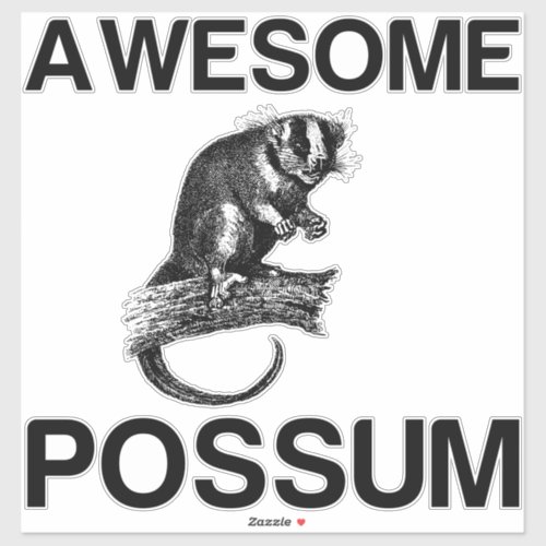 AWESOME POSSUM STICKER