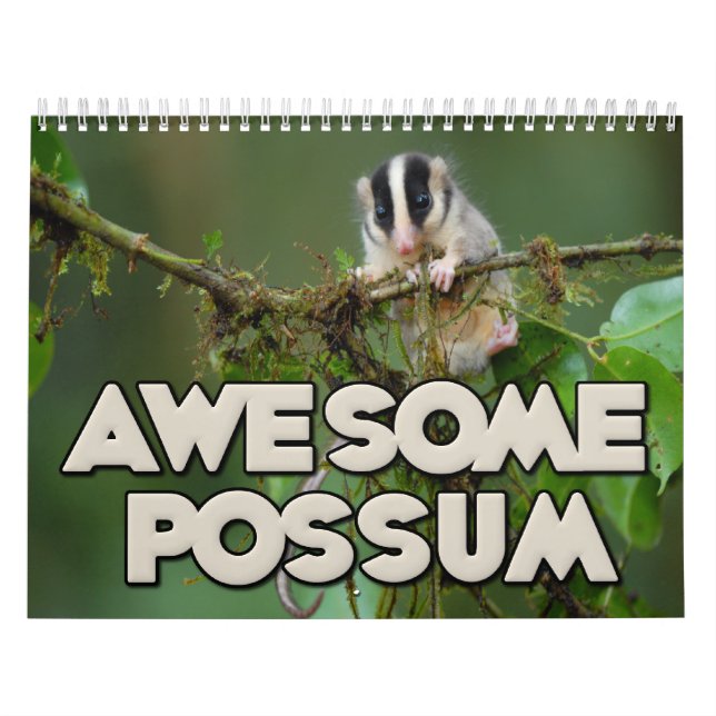 Awesome Possum Wall Calendar (Cover)