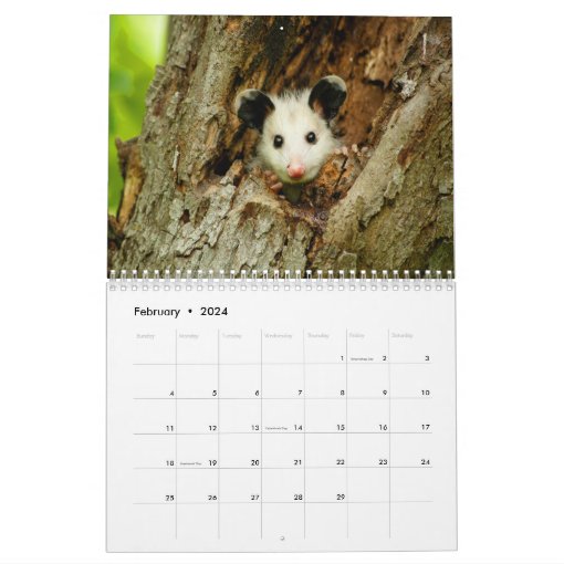 Awesome Possum Wall Calendar Zazzle