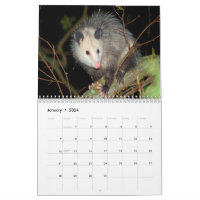 https://rlv.zcache.com/awesome_possum_wall_calendar-r7c4f302d140c4c43bf4920d3e414ec34_ufxkw_8byvr_200.jpg?rlvnet=1