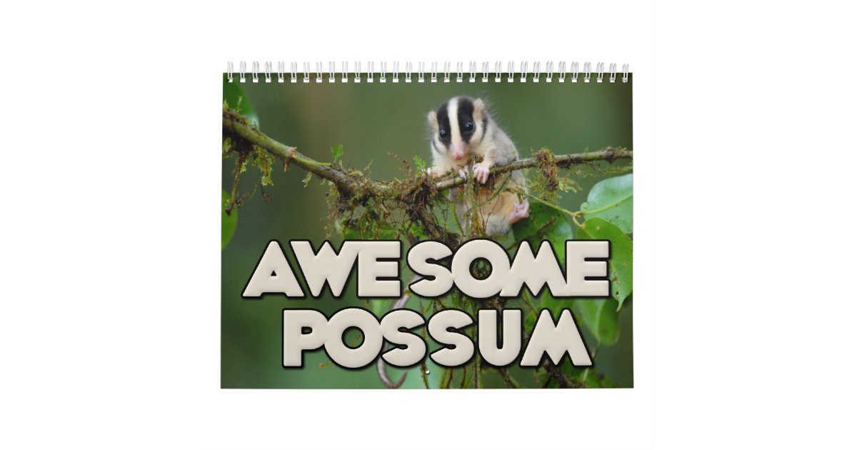 Awesome Possum Wall Calendar Zazzle