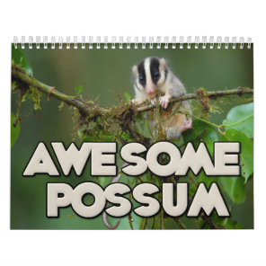Awesome Possum Wall Calendar