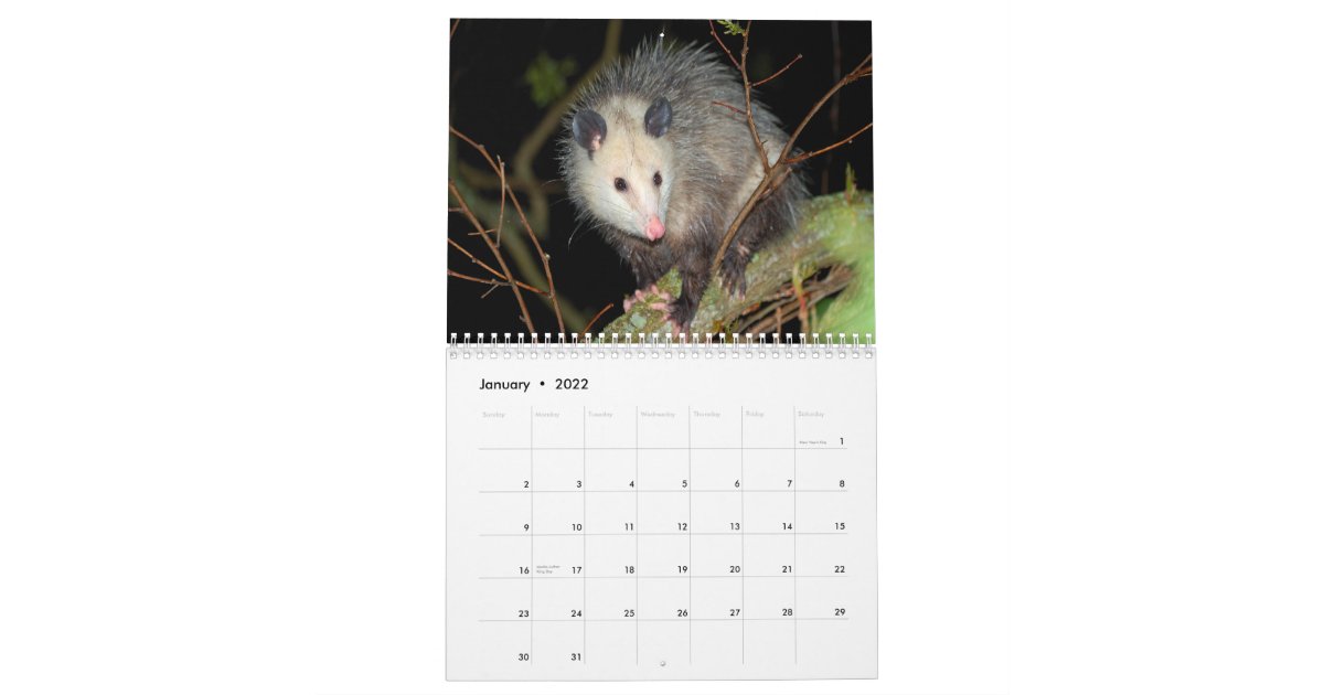 Awesome Possum Wall Calendar