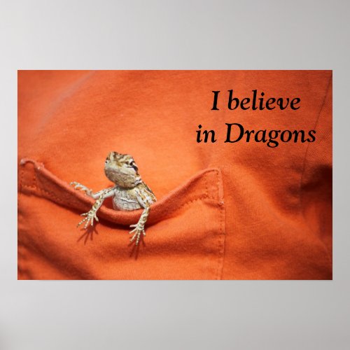 awesome poster for the reptilebearded dragon fan