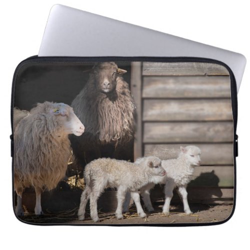Awesome Sheep with Lambs Animal Photograph Laptop Sleeve
