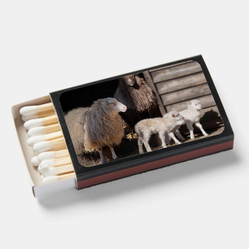 Awesome Sheep with Lambs Animal Photograph Matchboxes