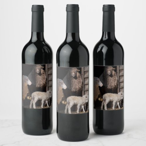 Awesome Sheep with Lambs Animal Photograph Wine Label