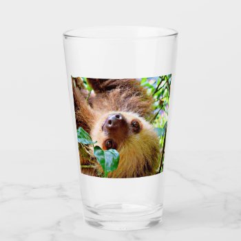 Awesome Sloth Glass by MehrFarbeImLeben at Zazzle