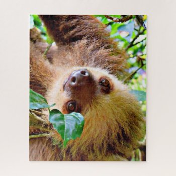 Awesome Sloth Jigsaw Puzzle by MehrFarbeImLeben at Zazzle