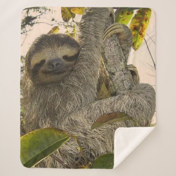 Awesome Sloth Sherpa Blanket by MehrFarbeImLeben at Zazzle