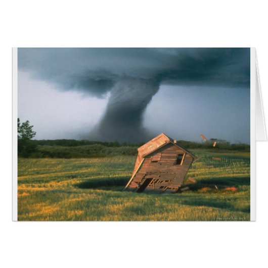 Awesome Spectacle (Front Horizontal)