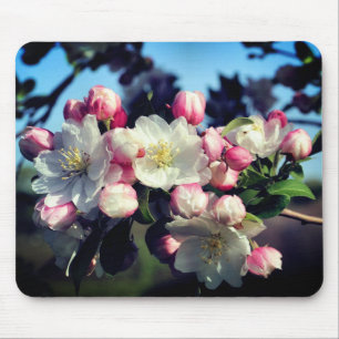 Awesome Spring Blossoms Flower  Mouse Pad