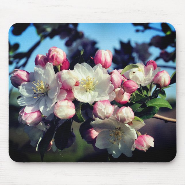 Awesome Spring Blossoms Flower  Mouse Pad (Front)