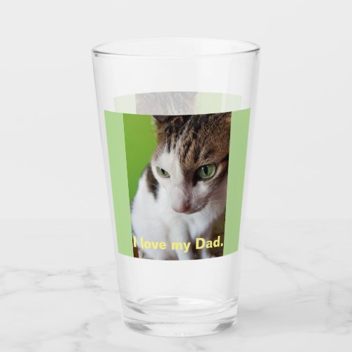 Awesome Tabby Cat with breathtaking green eyes Glass