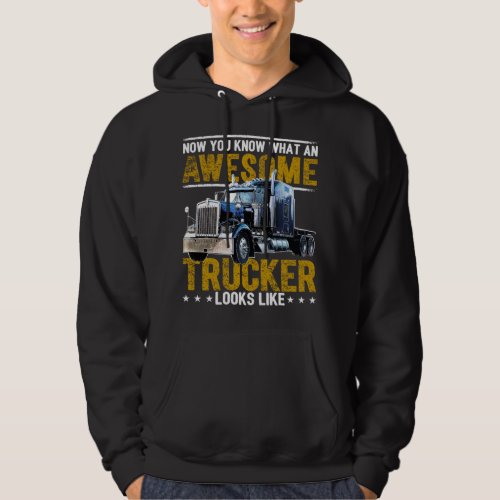 Awesome Trucker Big Rig Semi_Trailer Truck Driver  Hoodie