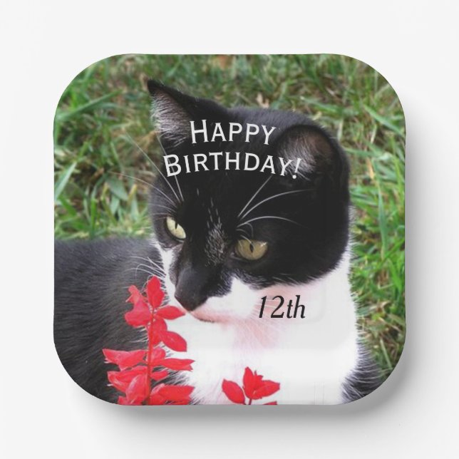 Awesome Tuxedo Cat in Garden Personal Paper Plates (Front)
