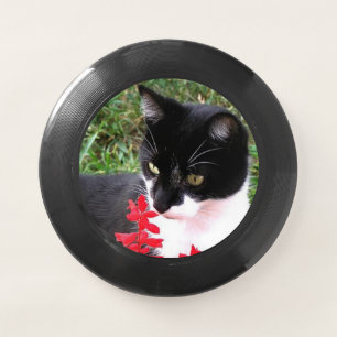 Awesome Tuxedo Cat in Garden Wham-O Frisbee