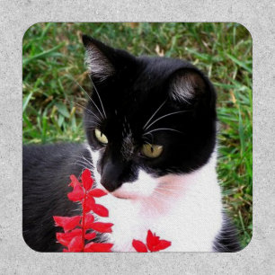 Awesome Tuxedo Cat Patch