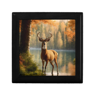 Awesome Twelve Point Buck in Autumn Waters Gift Box