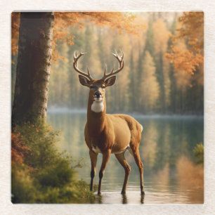 Awesome Twelve Point Buck in Autumn Waters Glass Coaster