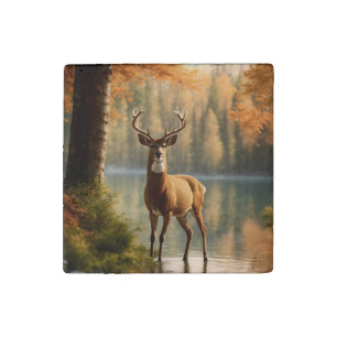 Awesome Twelve Point Buck in Autumn Waters Stone Magnet
