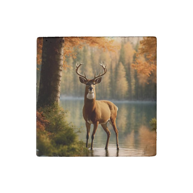 Awesome Twelve Point Buck in Autumn Waters Stone Magnet (Front)