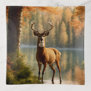Awesome Twelve Point Buck in Autumn Waters Trinket Tray