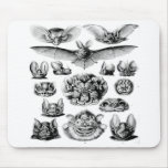 Awesome Vintage Bat Mouse Pad at Zazzle