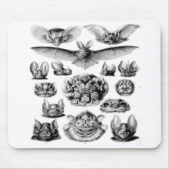 Awesome Vintage Bat Mouse Pad by mrcountscary at Zazzle