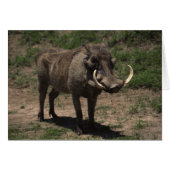 Awesome Warthog (Front Horizontal)