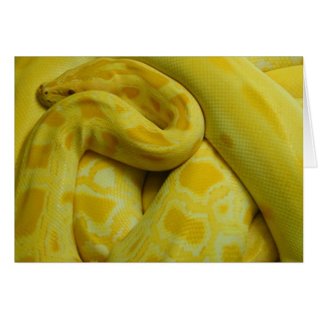 Awesome Yellow Burmese Python Cards (Front Horizontal)