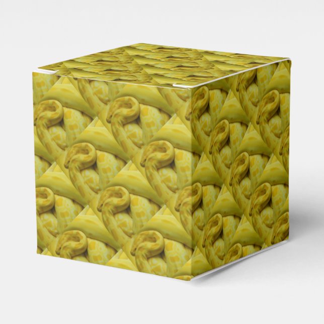Awesome Yellow Burmese Python Favor Boxes (Front Side)