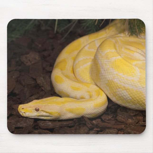 Awesome Yellow Burmese Python Mouse Pad (Front)