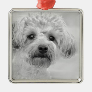 Awesome  Yorkie Poo in Sepia Tones Metal Ornament