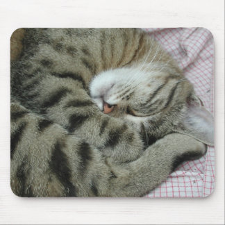 Awkward Cat Sleeping Position Mouse Pad