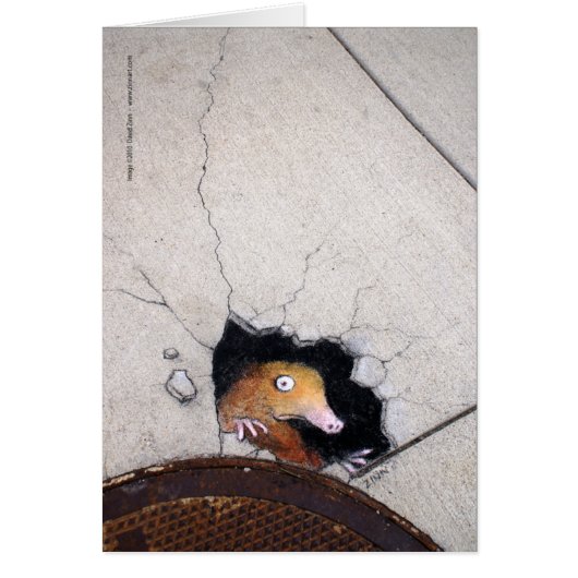 awkward mole (Front)