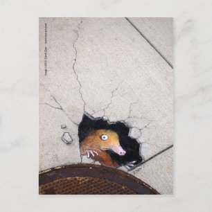 awkward mole postcard