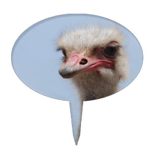 Awkward Ostrich Cake Topper