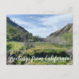 aWorld2Celebrate: Greetings from California Postcard