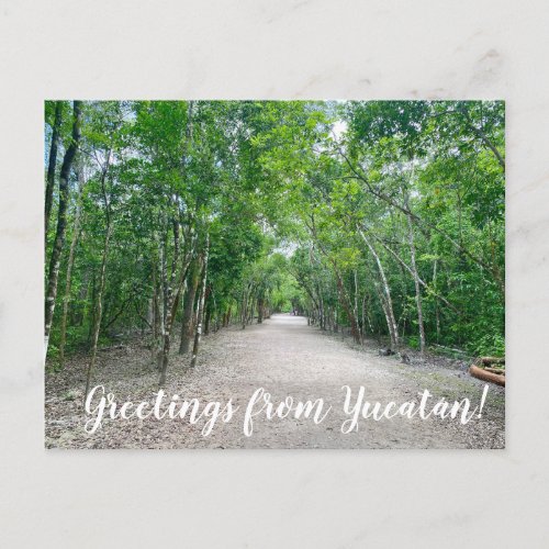 aWorld2Celebrate Greetings from Yucatn  Postcard