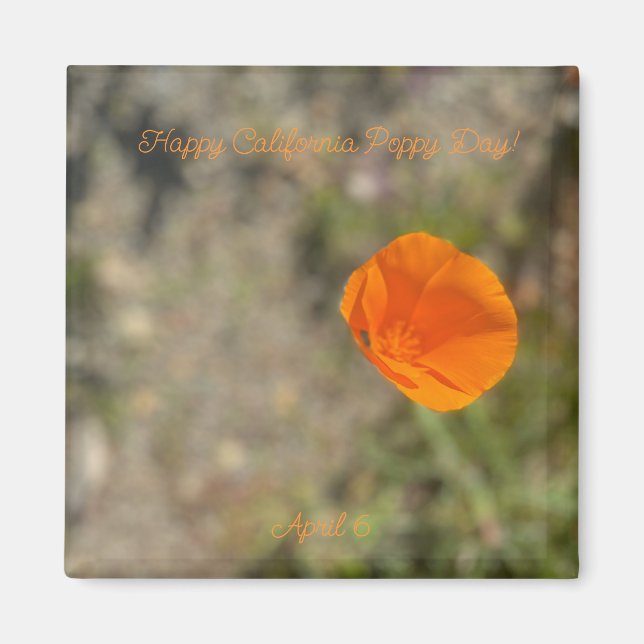 aWorld2Celebrate: Happy California Poppy Day! Magnet (Front)