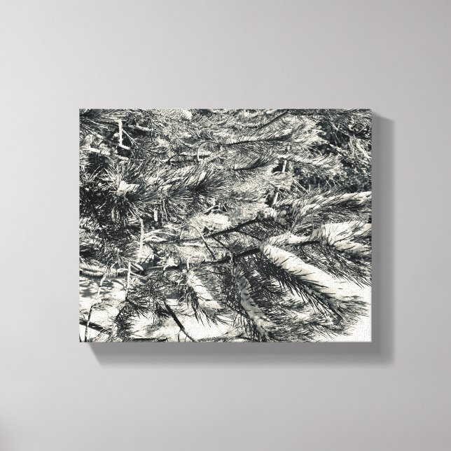 aWorld2Celebrate: Snow Spikes Canvas Print (Front)