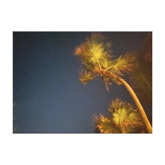 aWorld2Celebrate: Starry Palms Canvas Print
