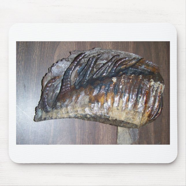 awsome Mammoth tooth Mouse Pad (Front)