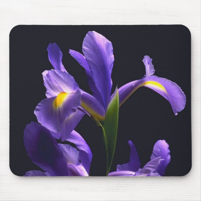 Awsome, purple Iris Mouse Pad (Front)