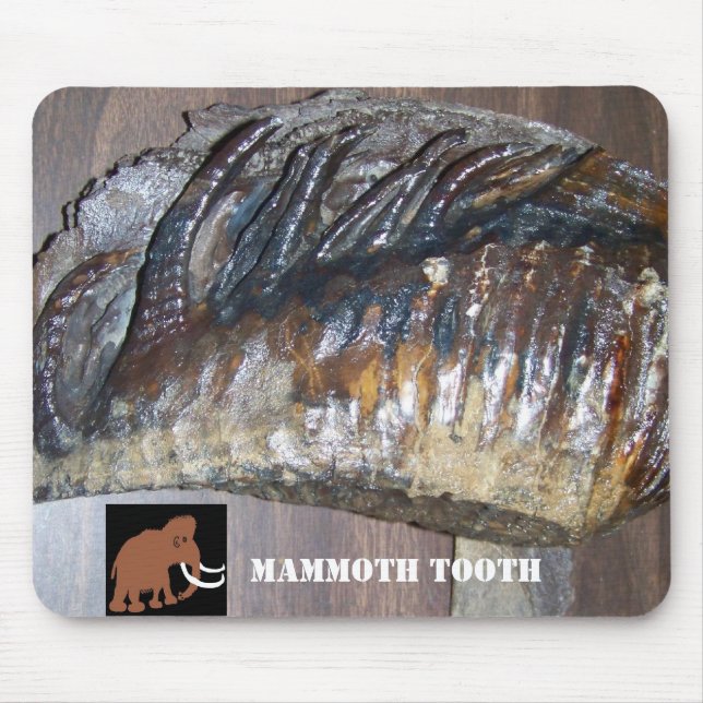 awsome tooth, MAMMOTH (2), MAMMOTH TOOTH Mouse Pad (Front)