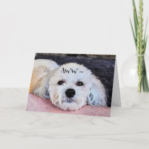 AWW GET WELL CARD