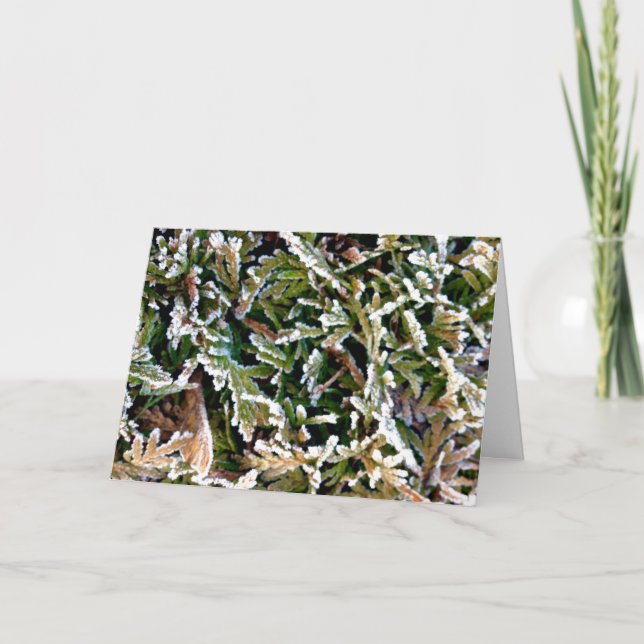 Axial Tilt Holiday Card (Front)