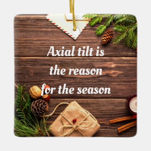 Axial Tilt is the reason for the season ornament