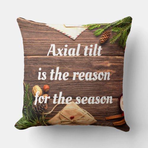 Axial tilt is the reason for the season pillow